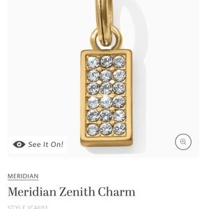 NWT Brighton Vivi Necklace with Meridian charm